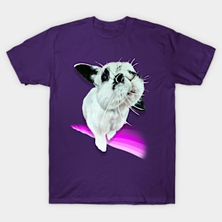 Cooper the cute bunny! T-Shirt